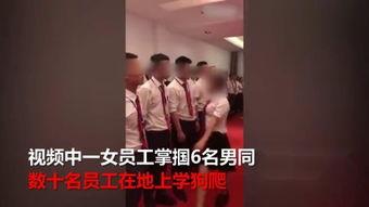 女王扇耳光视频,震撼视频引发热议
