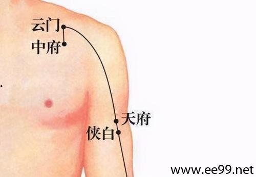 肺俞的准确位置图视频,精准掌握养生之道