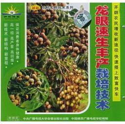 龙眼修剪技术视频直播,高效管理，丰收在望